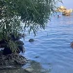 A At Coralli - Apartment, 30 M From Διαμέρισμα