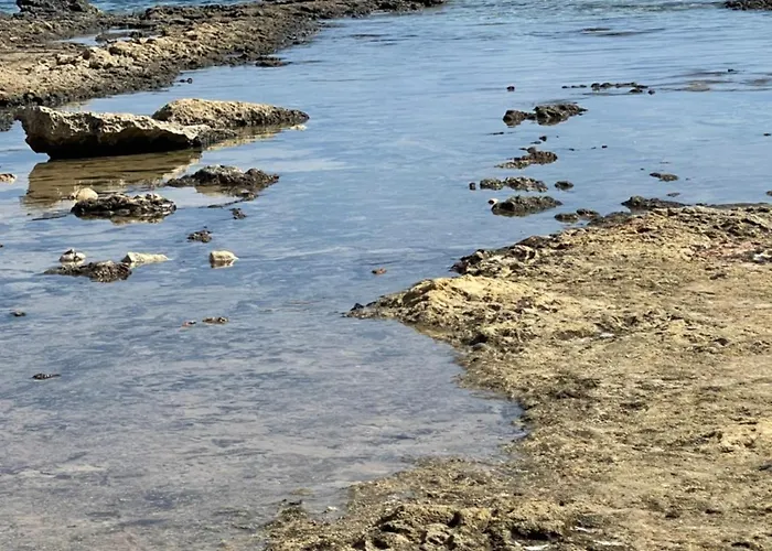 A At Coralli - Apartment, 30 M From Апартаменты Протарас